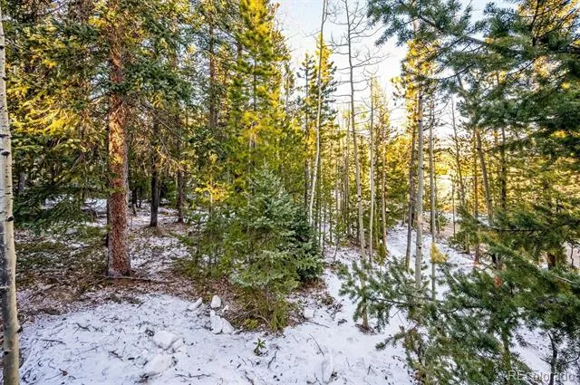 2334 Sinton Road Evergreen, CO 80439