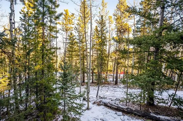 2334 Sinton Road Evergreen, CO 80439