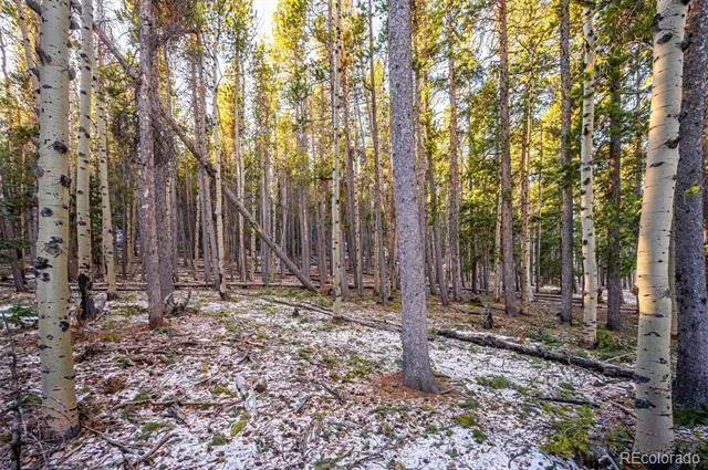 2334 Sinton Road Evergreen, CO 80439