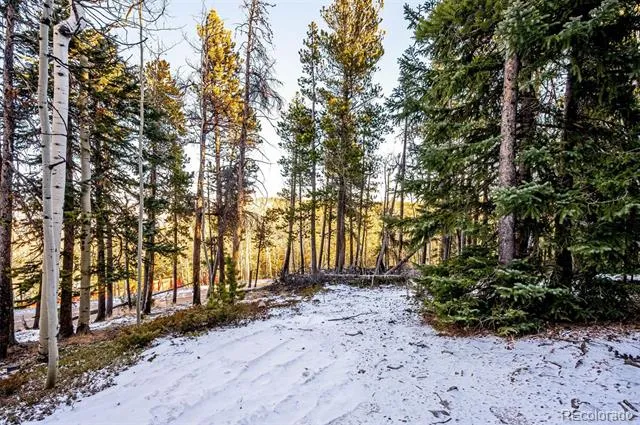 2334 Sinton Road Evergreen, CO 80439