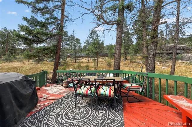 27231 Log Trail Conifer, CO 80433