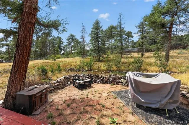 27231 Log Trail Conifer, CO 80433