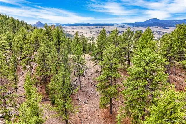 711 Willow Way Jefferson, CO 80456