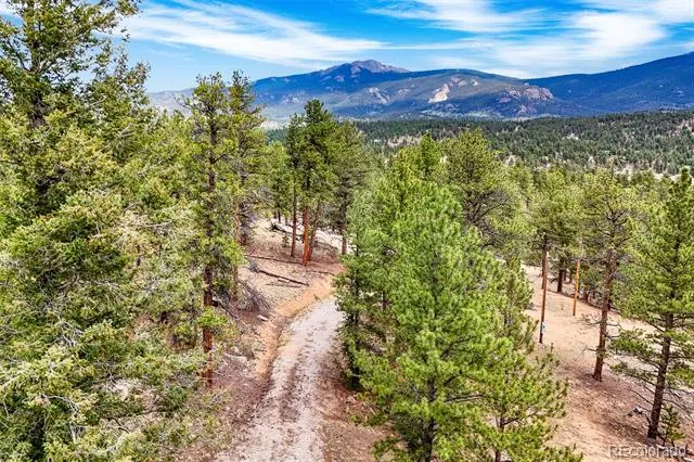 711 Willow Way Jefferson, CO 80456