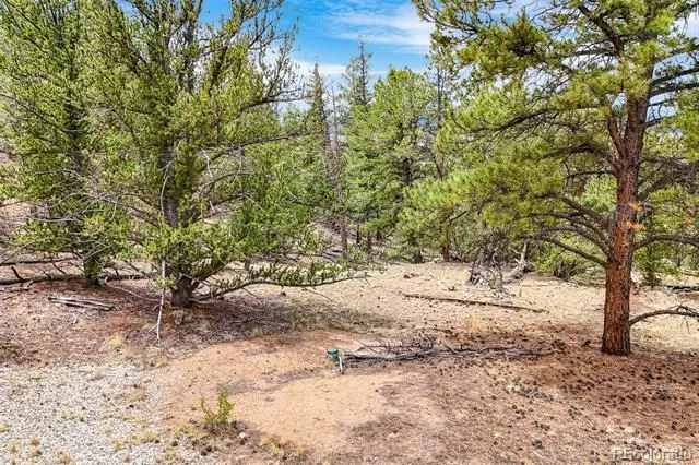 711 Willow Way Jefferson, CO 80456