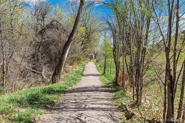 905 Welch Street Golden, CO 80401