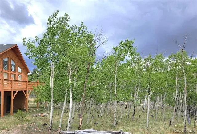 1210 Kiowa Street Como, CO 80432