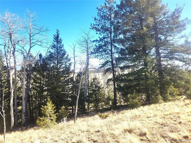 8802 Ranch Road Hartsel, CO 80449