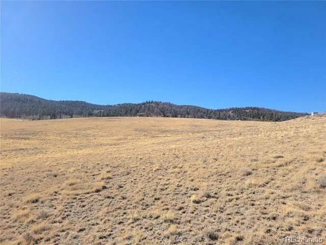 8802 Ranch Road Hartsel, CO 80449