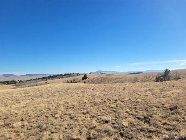 8802 Ranch Road Hartsel, CO 80449