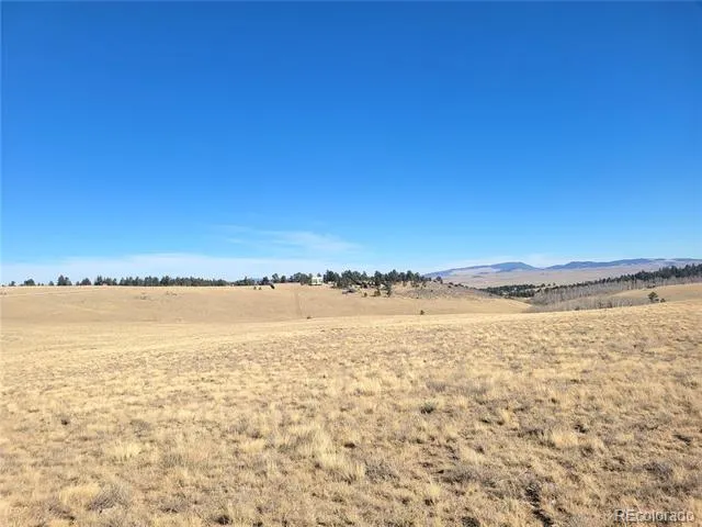 8802 Ranch Road Hartsel, CO 80449