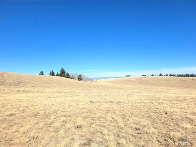 8802 Ranch Road Hartsel, CO 80449