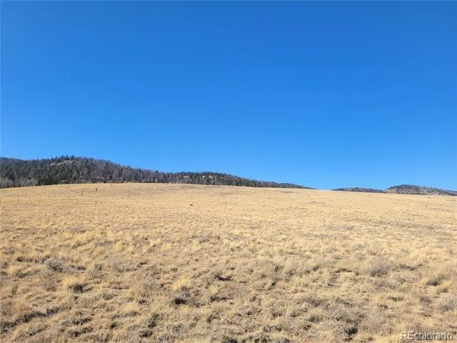 8802 Ranch Road Hartsel, CO 80449