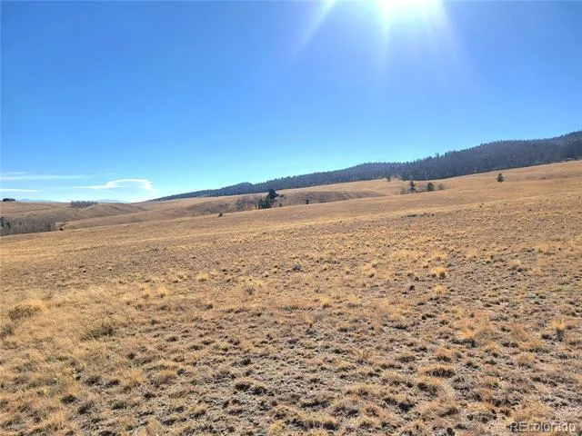 8802 Ranch Road Hartsel, CO 80449