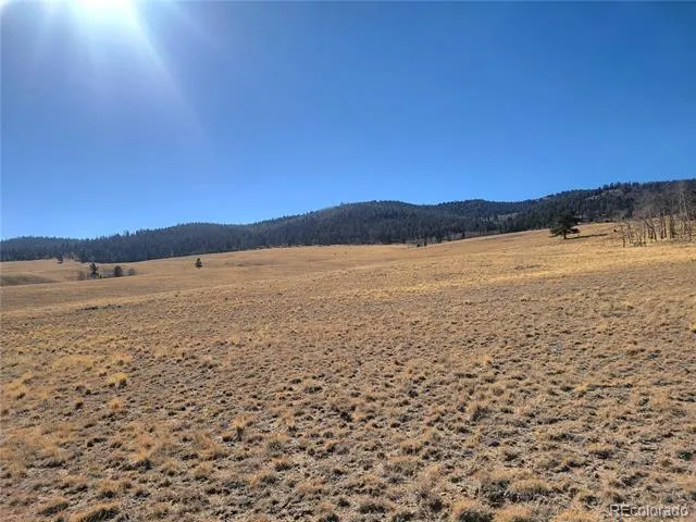 8802 Ranch Road Hartsel, CO 80449
