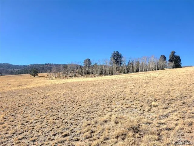 8802 Ranch Road Hartsel, CO 80449