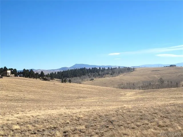 8802 Ranch Road Hartsel, CO 80449