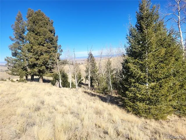 8802 Ranch Road Hartsel, CO 80449