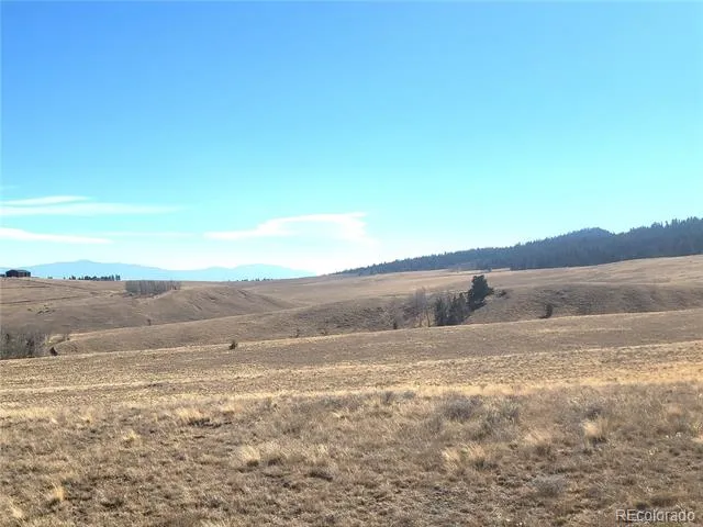 8802 Ranch Road Hartsel, CO 80449