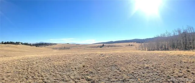8802 Ranch Road Hartsel, CO 80449