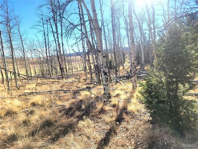 8802 Ranch Road Hartsel, CO 80449