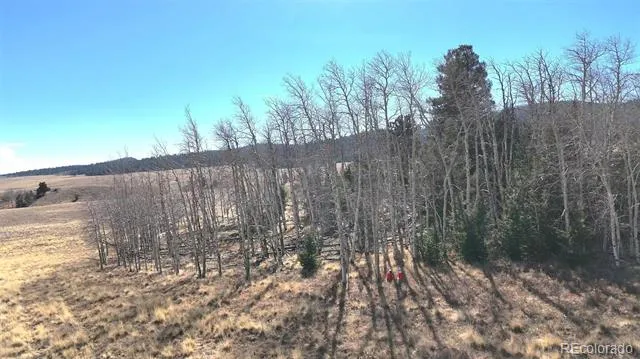8802 Ranch Road Hartsel, CO 80449