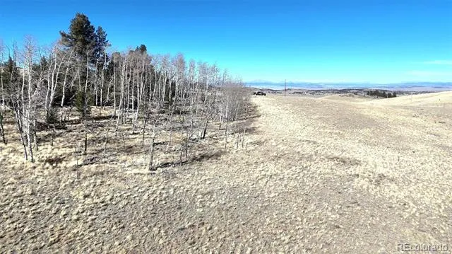 8802 Ranch Road Hartsel, CO 80449
