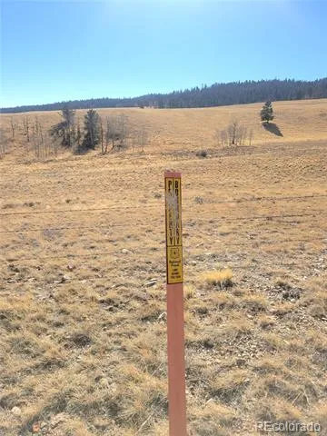 8802 Ranch Road Hartsel, CO 80449
