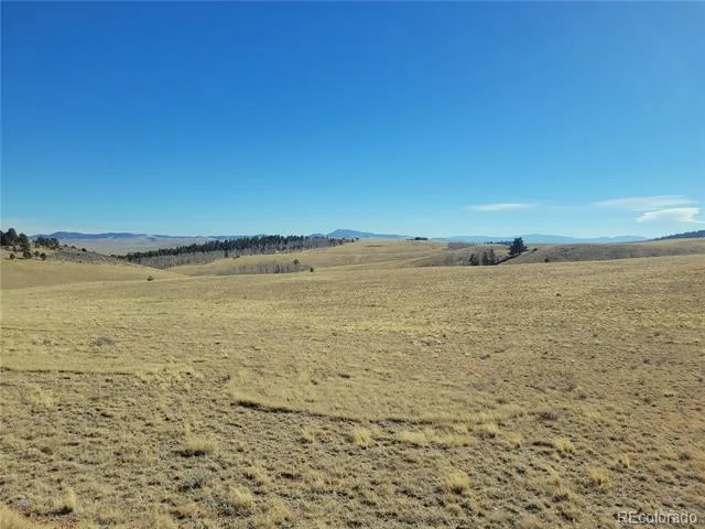 8802 Ranch Road Hartsel, CO 80449