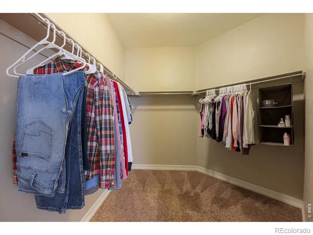 4373 Lemon Grass Drive Johnstown, CO 80534