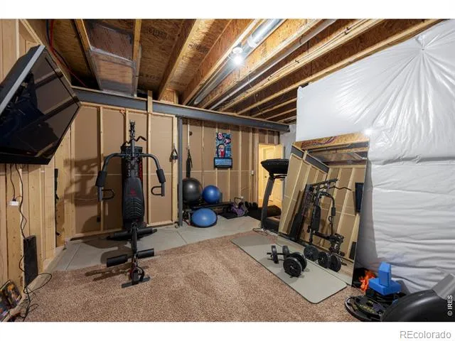 4373 Lemon Grass Drive Johnstown, CO 80534