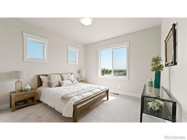 6226 Vernazza Way #4 Windsor, CO 80550