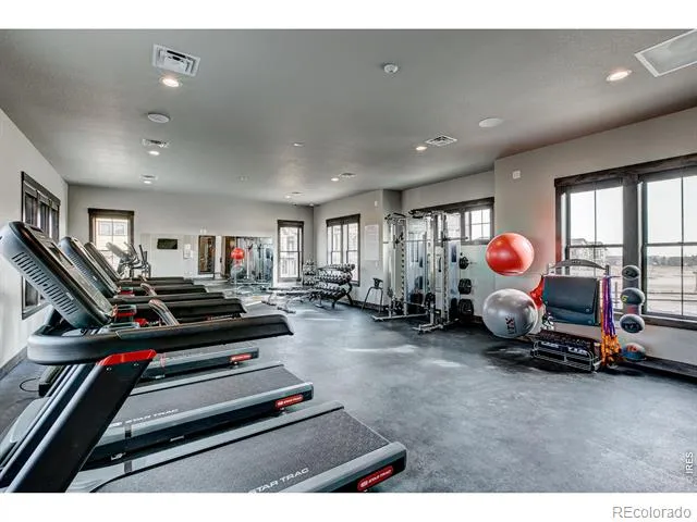 6226 Vernazza Way #4 Windsor, CO 80550