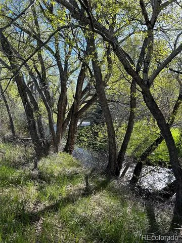 CR 361 Buena Vista, CO 81211