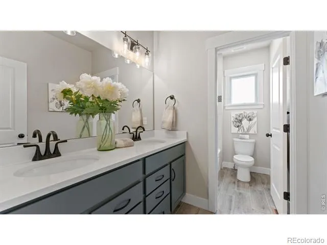 6227 Vernazza Way #1 Windsor, CO 80550