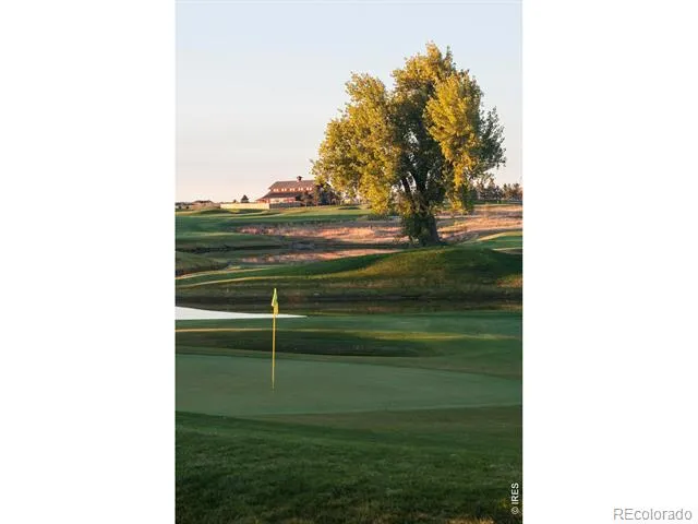 6227 Vernazza Way #1 Windsor, CO 80550