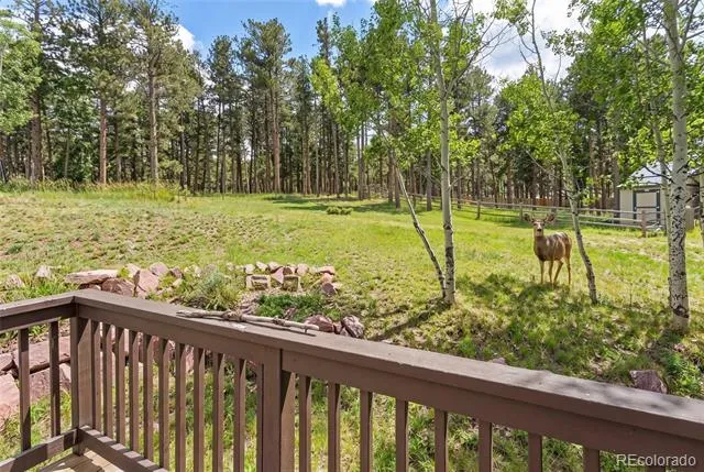 1157 Ptarmigan Drive Woodland Park, CO 80863