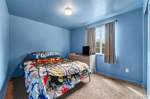 10647 E 112th Way Commerce City, CO 80640