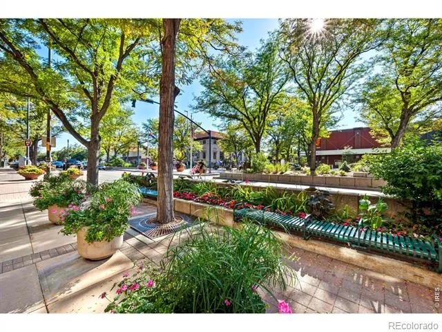 1014 Andrews Peak Drive Fort Collins, CO 80521