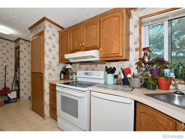 4006 Harrison Avenue Wellington, CO 80549
