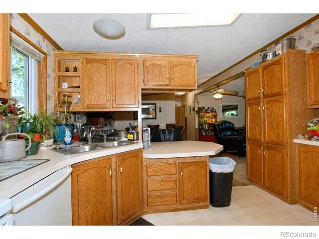 4006 Harrison Avenue Wellington, CO 80549