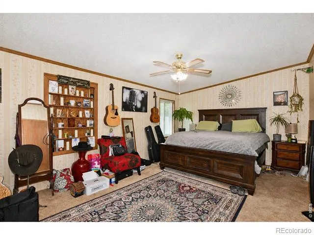 4006 Harrison Avenue Wellington, CO 80549