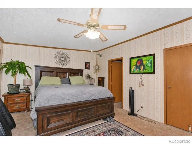 4006 Harrison Avenue Wellington, CO 80549