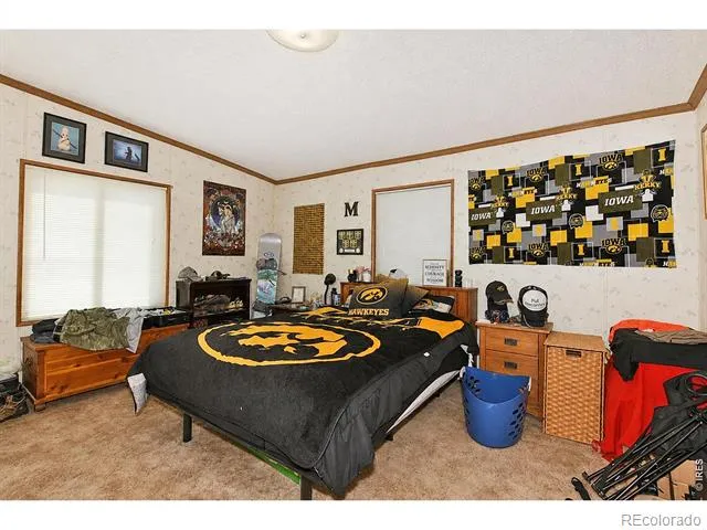 4006 Harrison Avenue Wellington, CO 80549