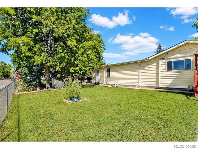 4006 Harrison Avenue Wellington, CO 80549