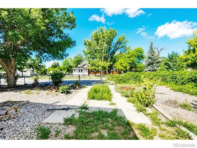 4006 Harrison Avenue Wellington, CO 80549