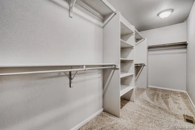 8243 Longleaf Lane Colorado Springs, CO 80927