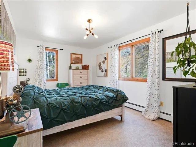 1170 Apex Valley Road Black Hawk, CO 80422
