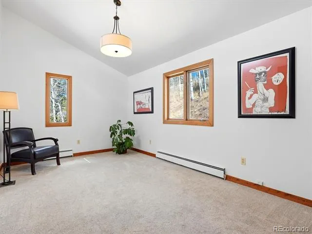 1170 Apex Valley Road Black Hawk, CO 80422