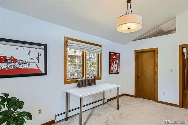 1170 Apex Valley Road Black Hawk, CO 80422